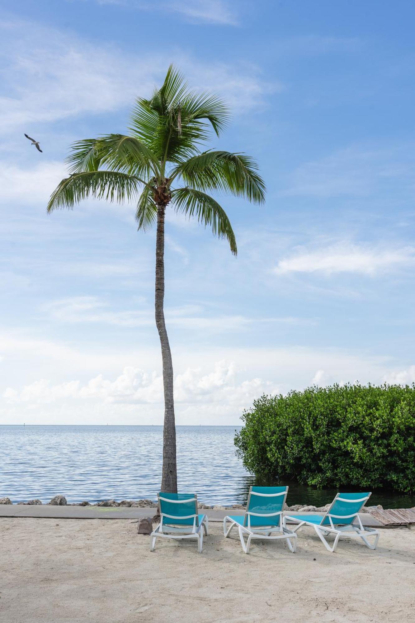 Fisher Inn Resort & Marina Islamorada Eksteriør billede